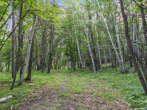 3132 State 210 SW, Pillager, MN 56473