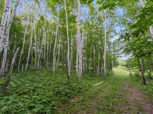 3132 State 210 SW, Pillager, MN 56473