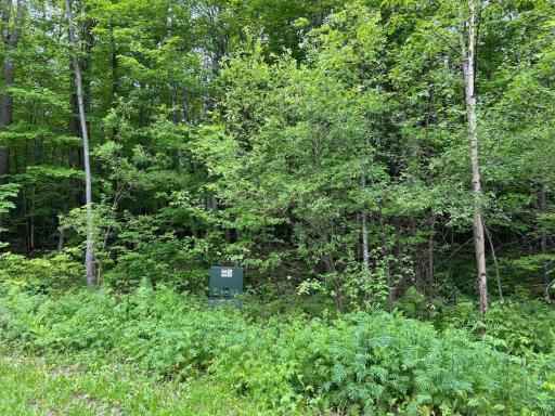 000 N x North Gama Beach Road Road N, Grand Rapids, MN 55744