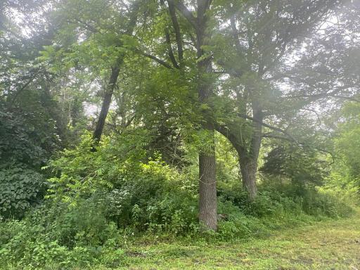 26718 County 21, Lanesboro, MN 55949