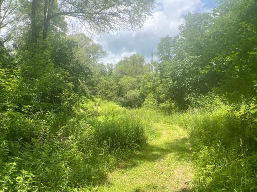 26718 County 21, Lanesboro, MN 55949