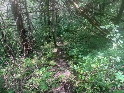 26718 County 21, Lanesboro, MN 55949