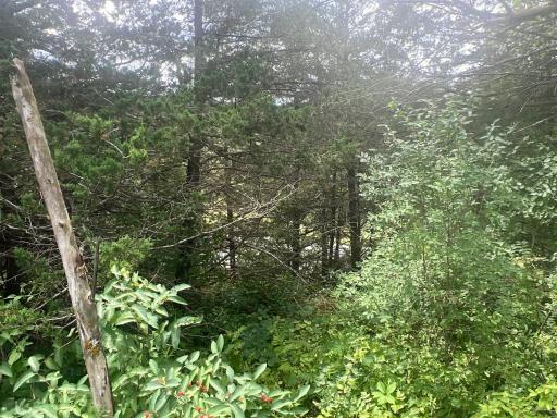 26718 County 21, Lanesboro, MN 55949