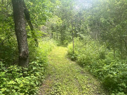 26718 County 21, Lanesboro, MN 55949