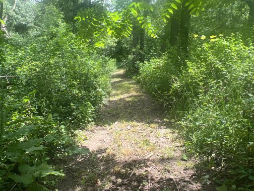 26718 County 21, Lanesboro, MN 55949