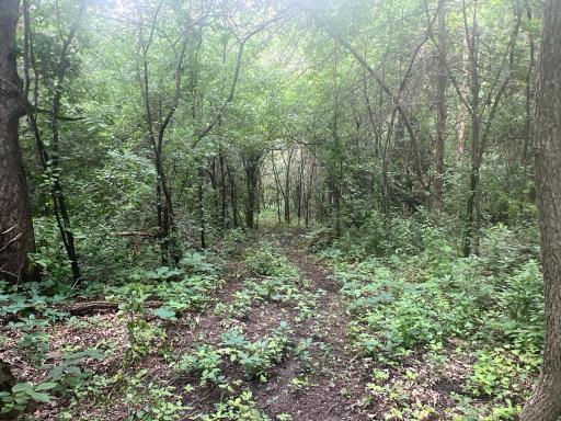 26718 County 21, Lanesboro, MN 55949