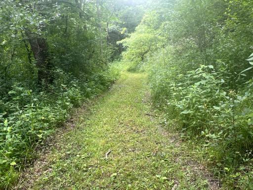 26718 County 21, Lanesboro, MN 55949