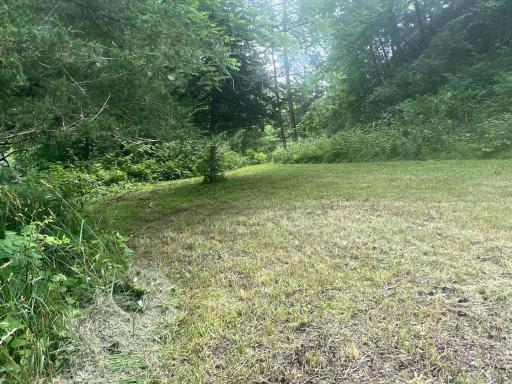 26718 County 21, Lanesboro, MN 55949