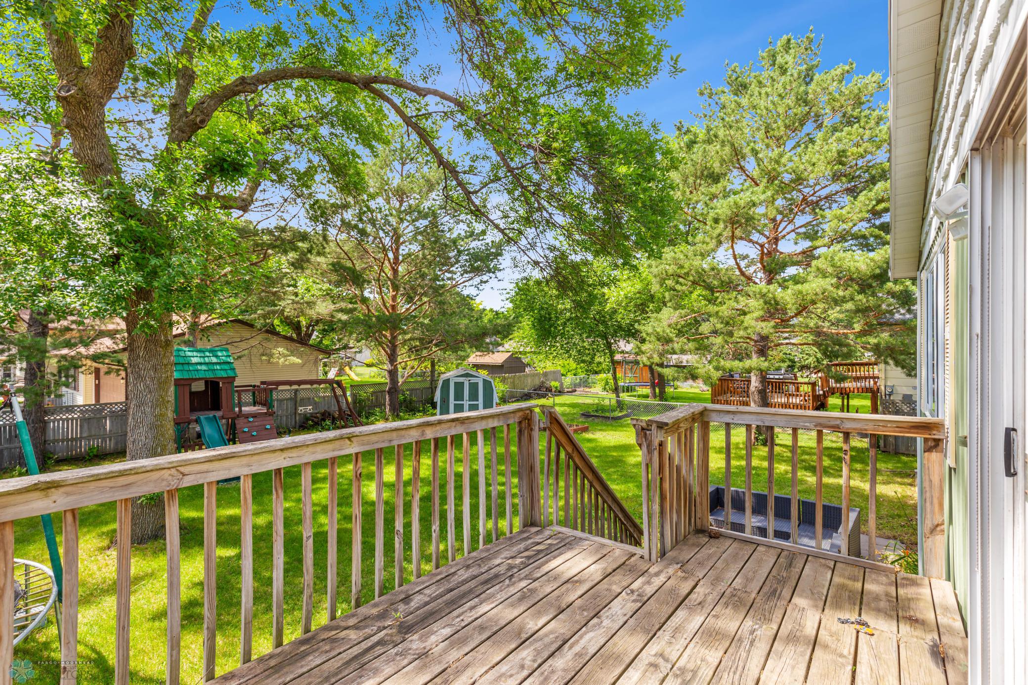 Back yard