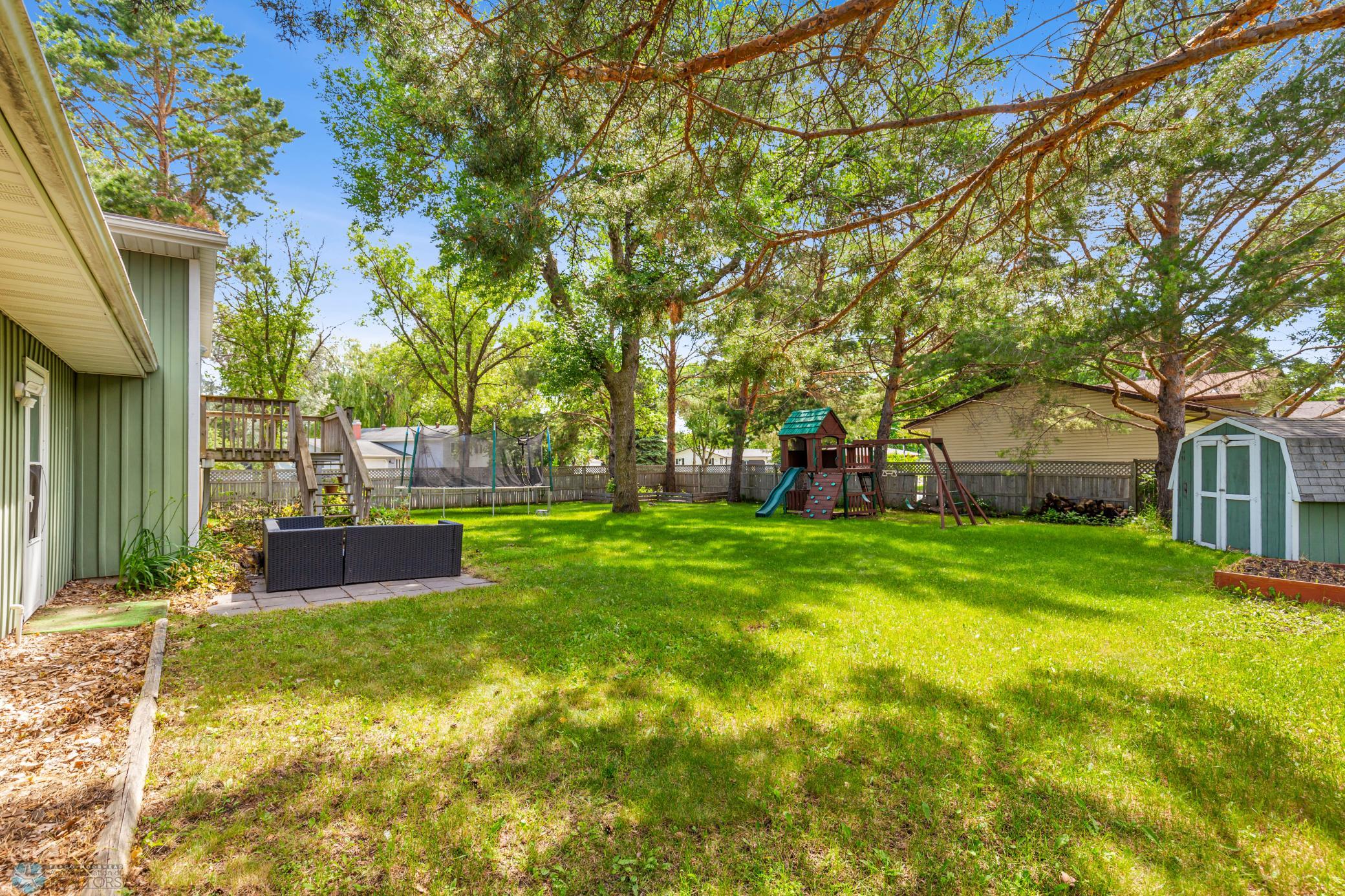 Back yard