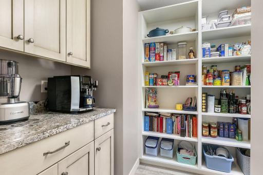 27779 Ambling Trail, Grey Eagle, MN 56336