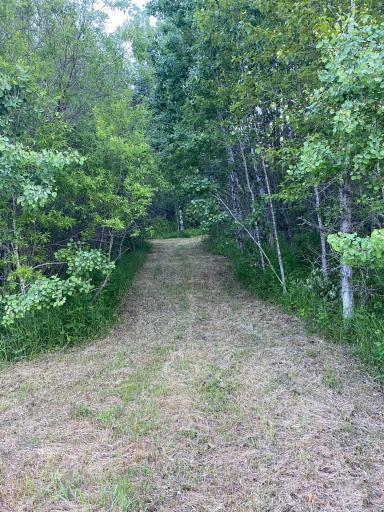 Photo for TBD 63rd Street SW, Baudette, MN 56623 - Listing #6558979 TBD 63rd Street SW, Baudette, MN 56623