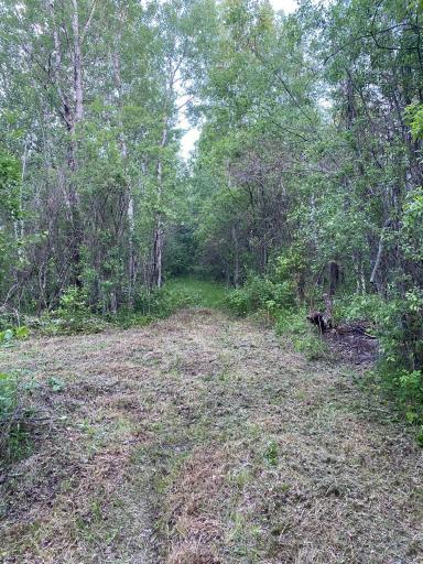 Photo for TBD 63rd Street SW, Baudette, MN 56623 - Listing #6558979 TBD 63rd Street SW, Baudette, MN 56623