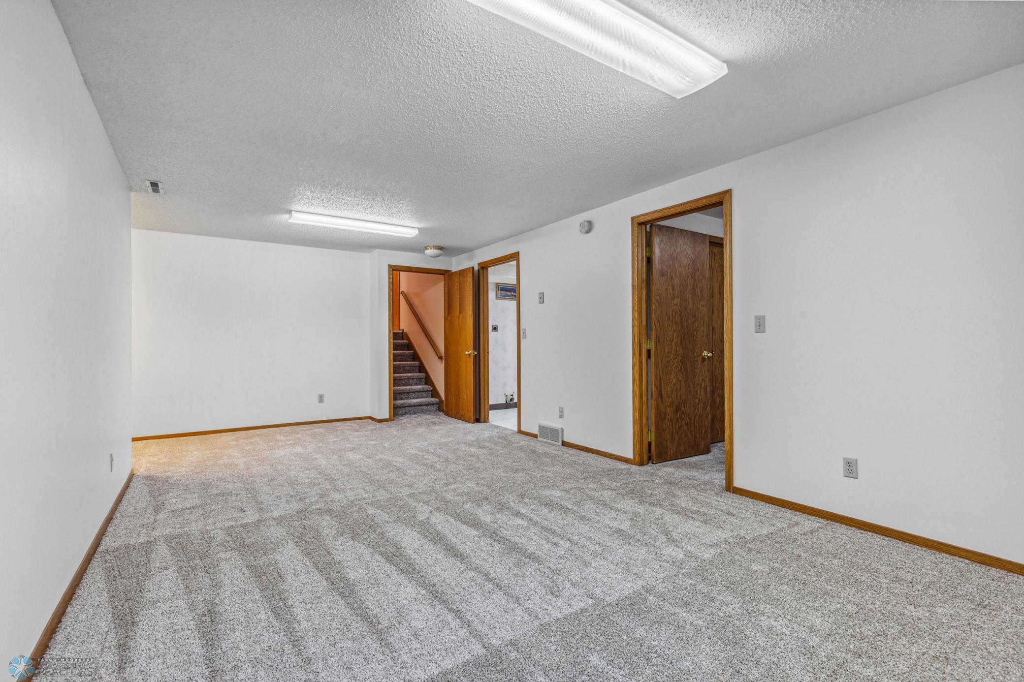 Basement Family Room