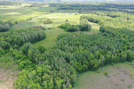 53330 180th Street, Osage, MN 56570