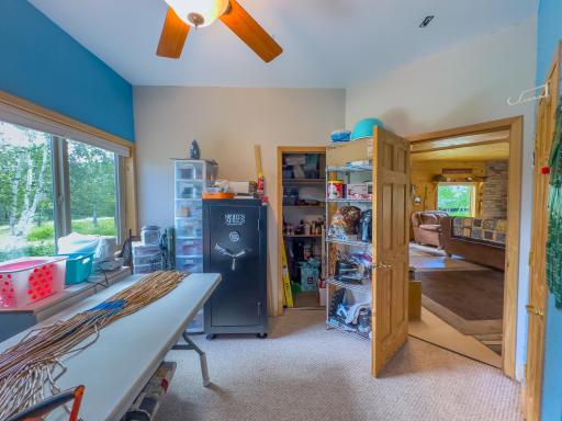 2228 Town Road 461, International Falls, MN 56649