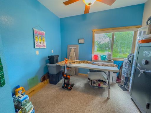 2228 Town Road 461, International Falls, MN 56649