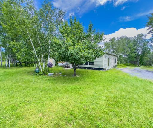 2228 Town Road 461, International Falls, MN 56649