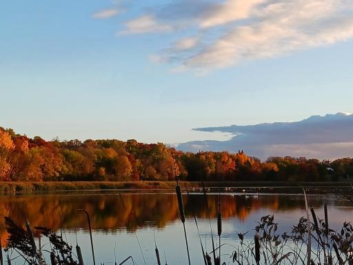 13865 Hollyhock Road, Cold Spring, MN 56320