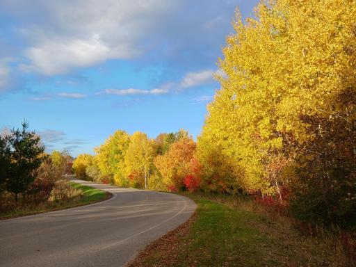 13865 Hollyhock Road, Cold Spring, MN 56320