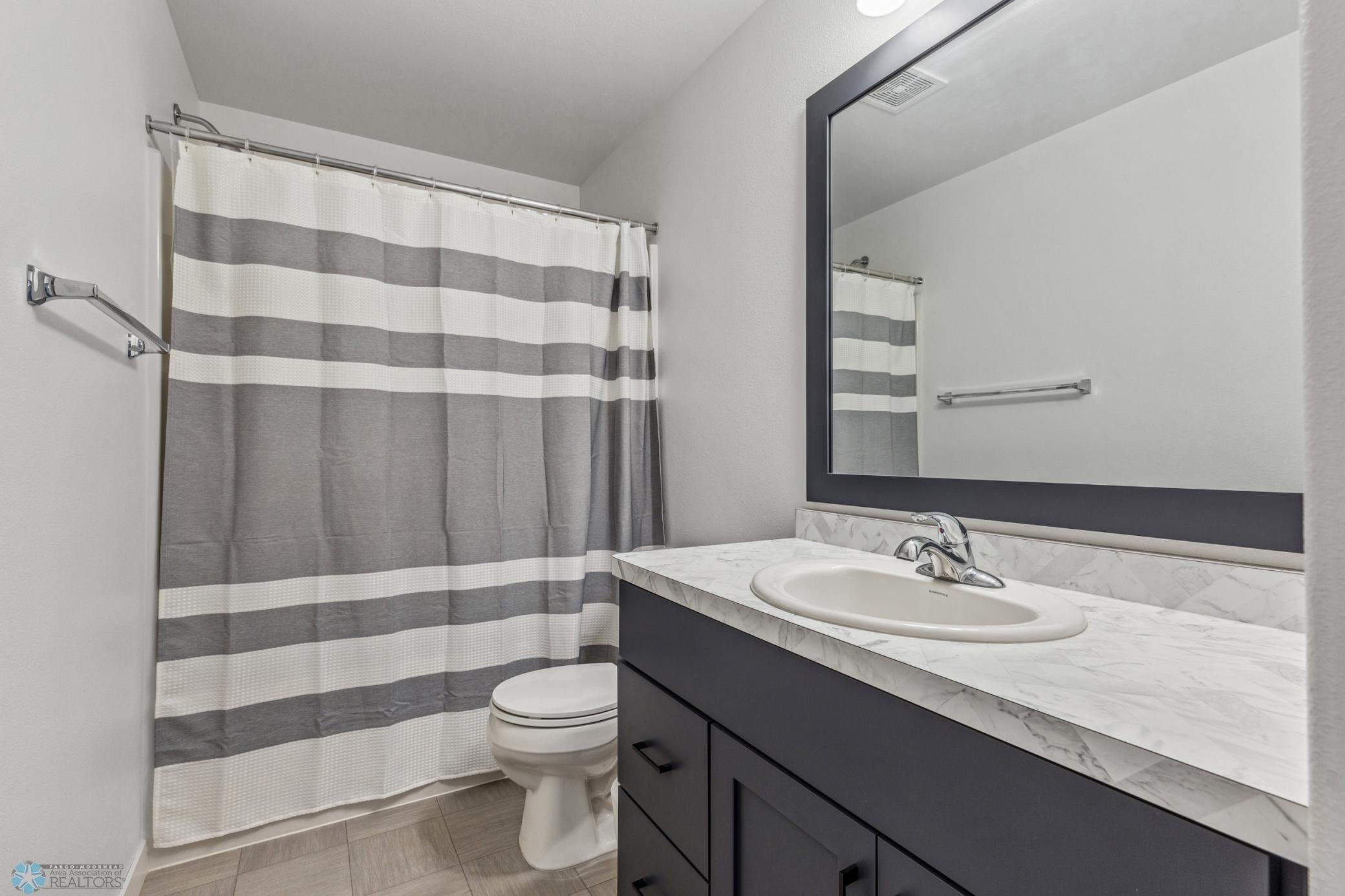 Lower Level Bathroom