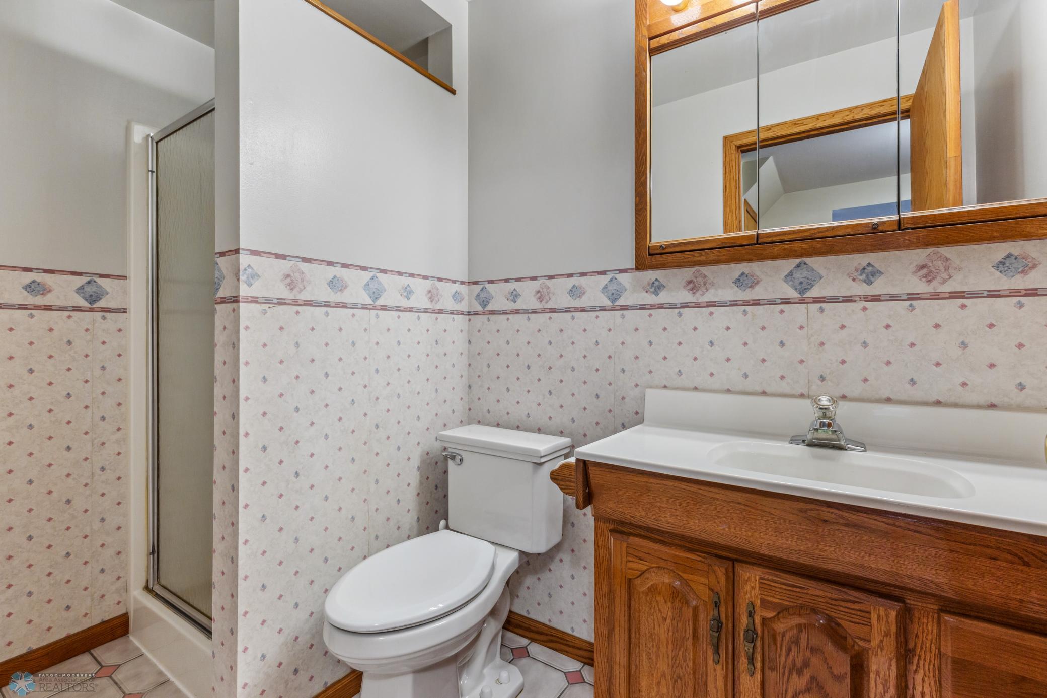 Lower Level Bathroom