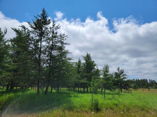 XXX 3rd St, Breezy Point, MN 56472
