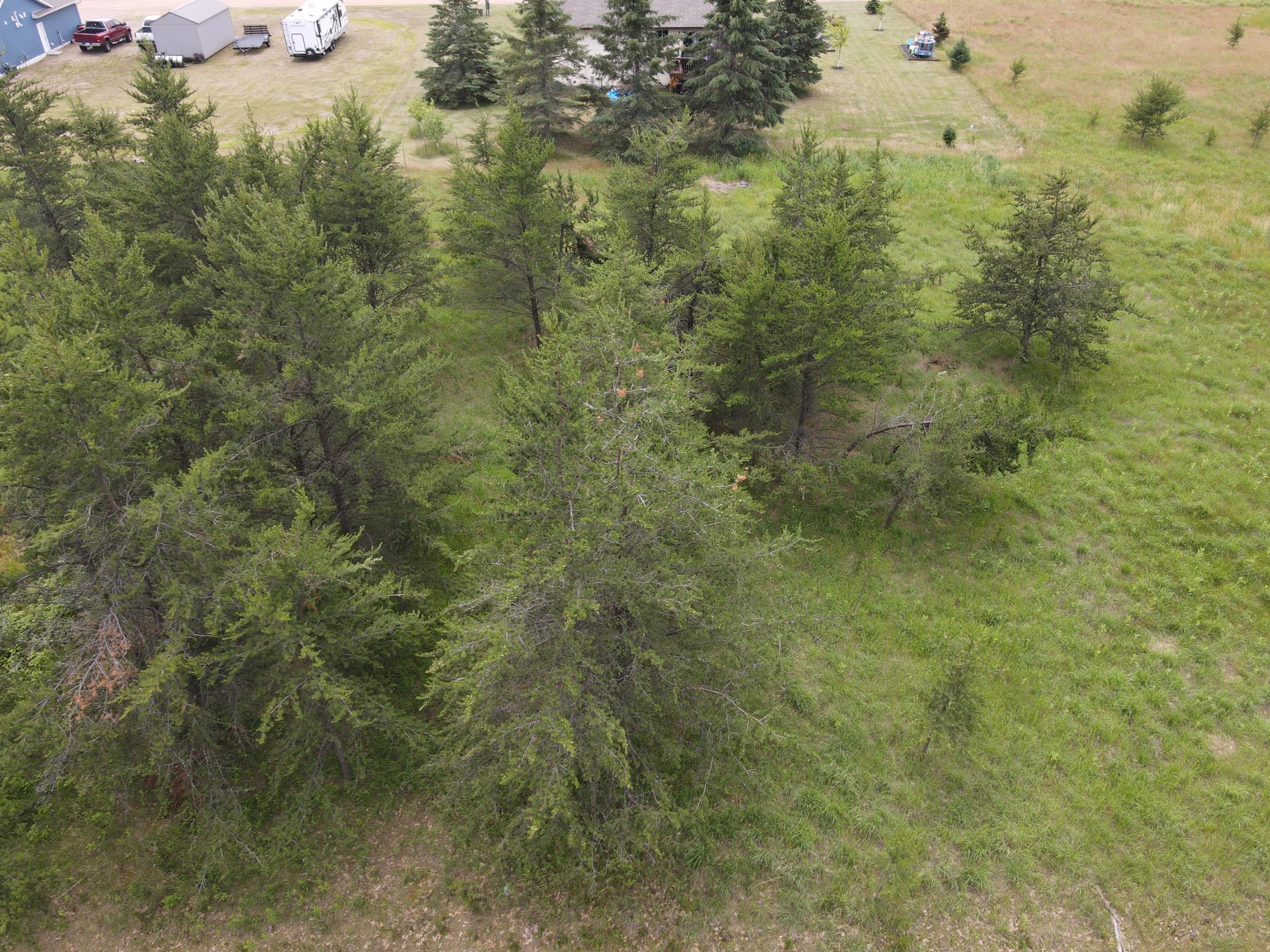 DJI_0259.JPG