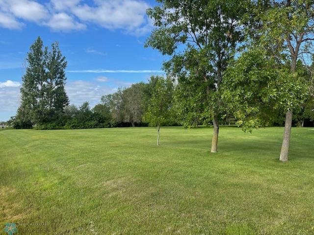 Front Yard to the South
