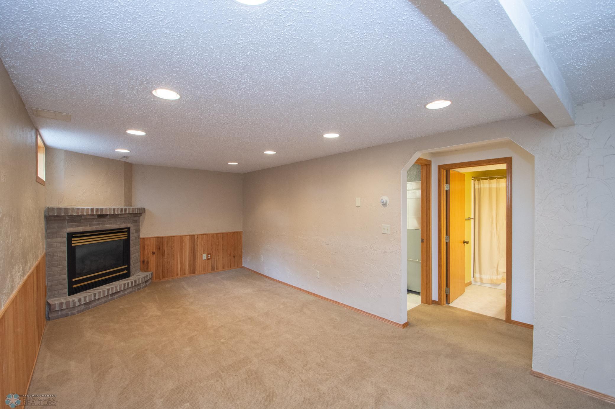 Lower Level Living Space