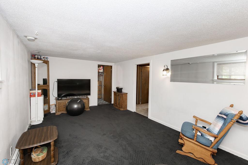 Basement - Family Room