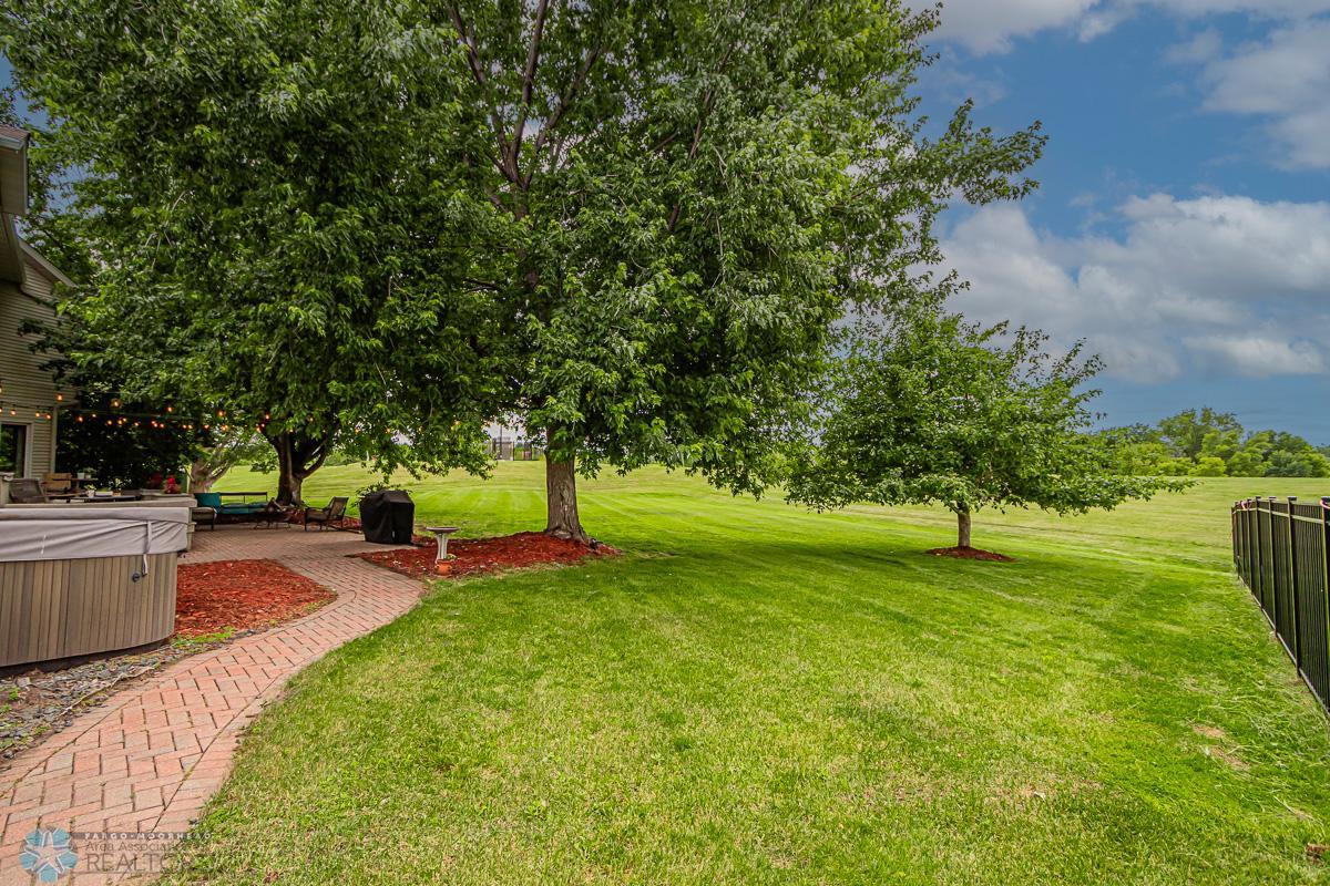 Back yard - large trees including an apple tree