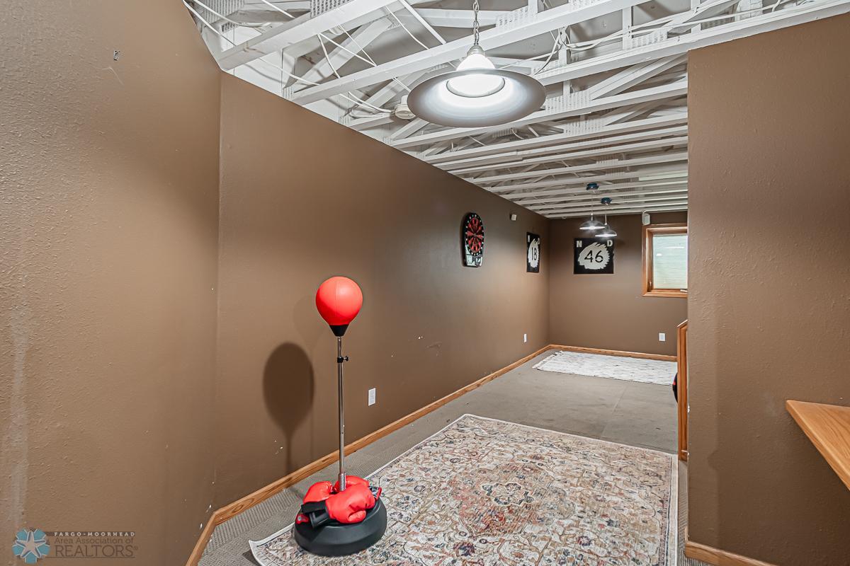 Lower level Family Room
