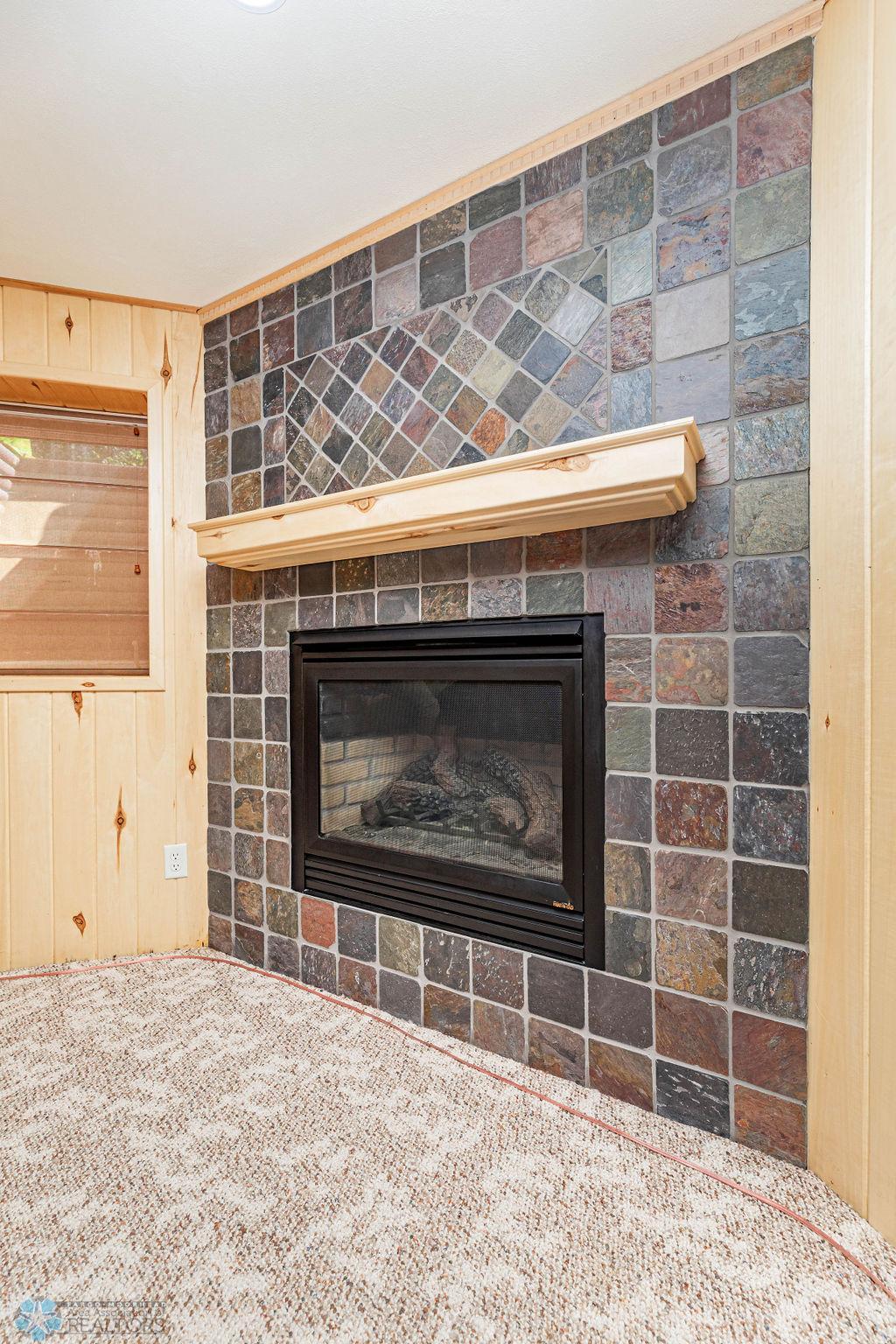 Basement Family Room Gas FP