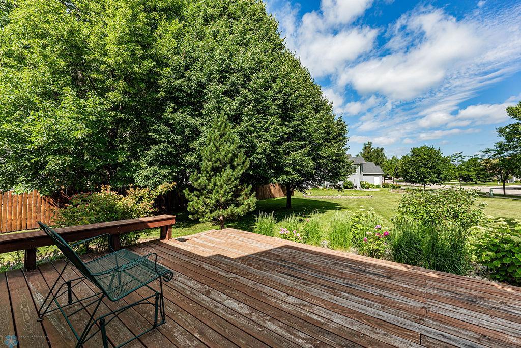 Great Treed Lot