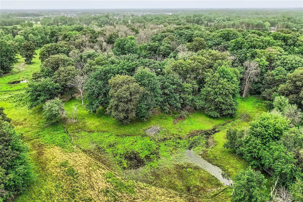 Wetland delineation has been completed