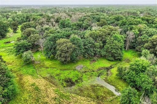 Wetland delineation has been completed