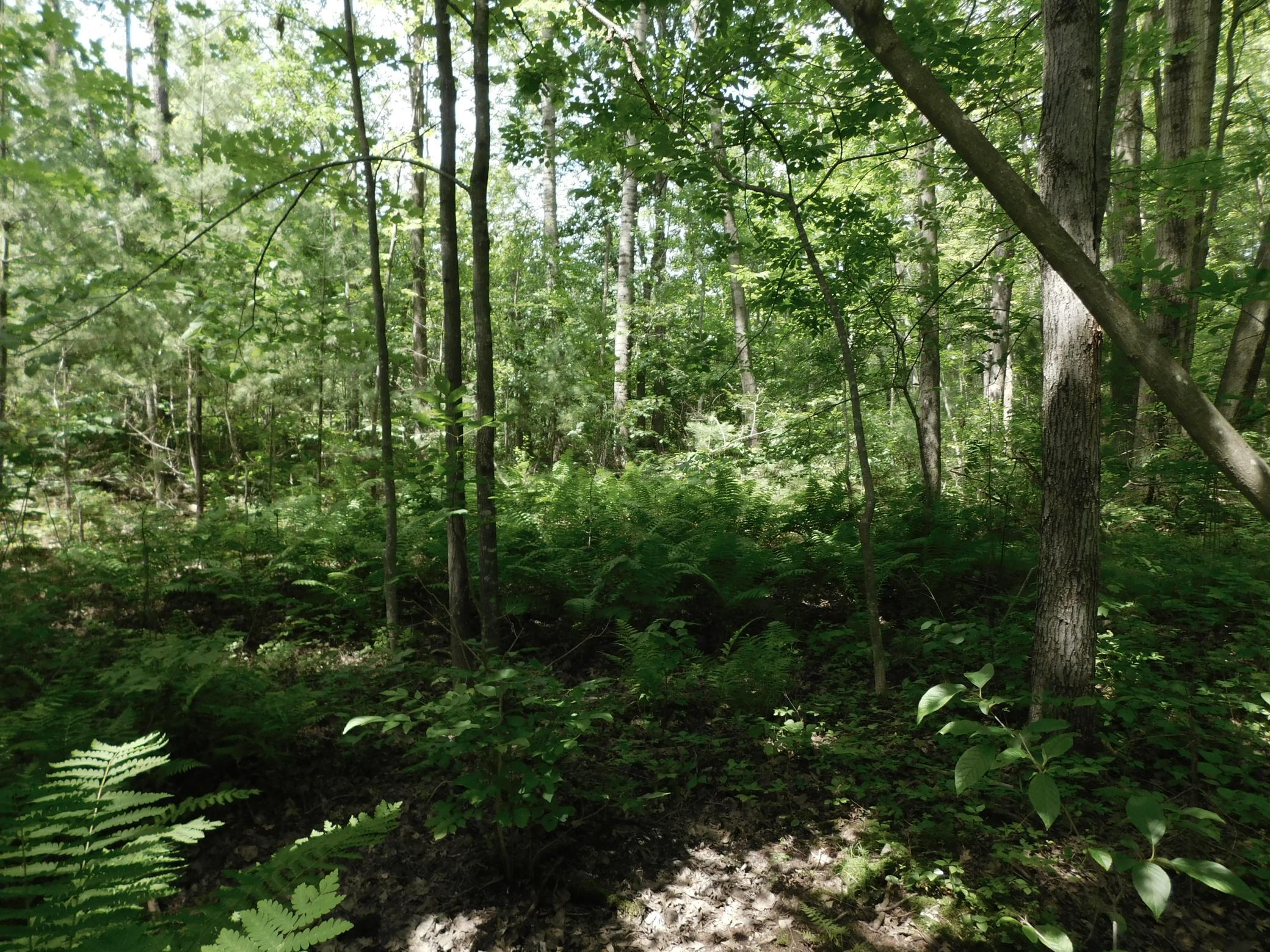 DSCN3935.JPG