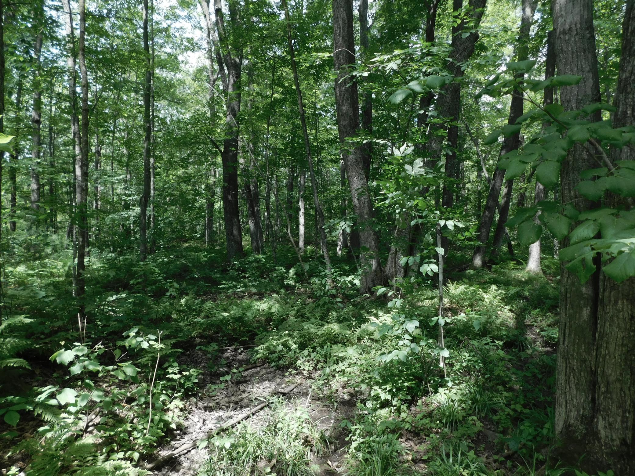 DSCN3939.JPG