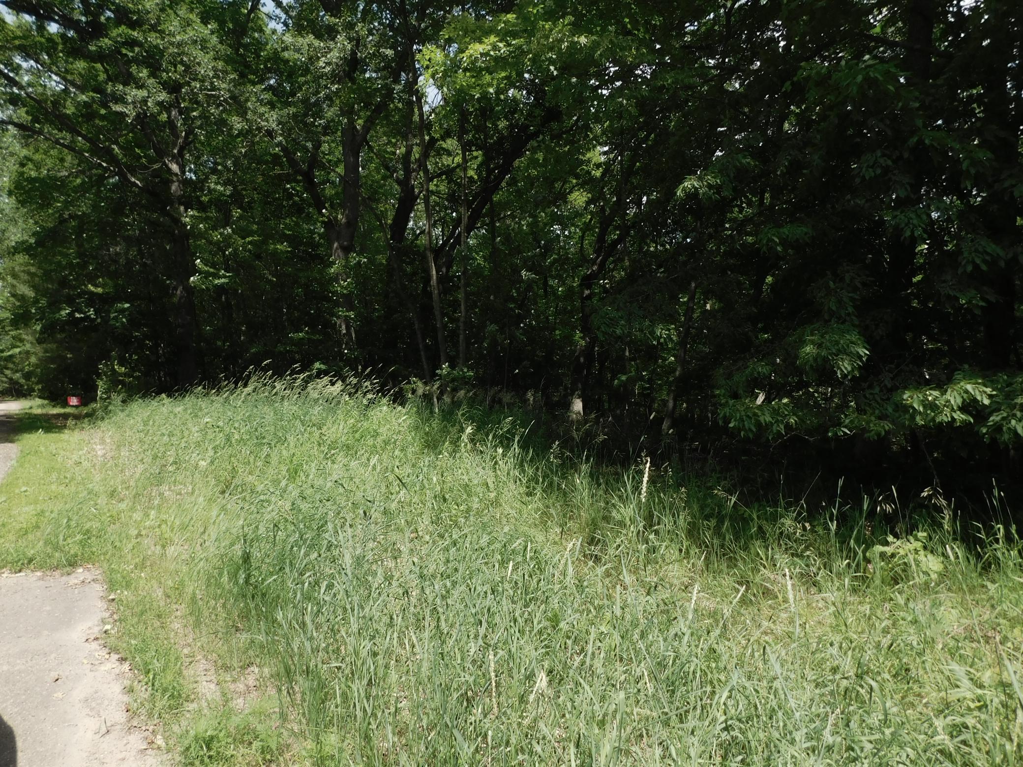 DSCN3943.JPG