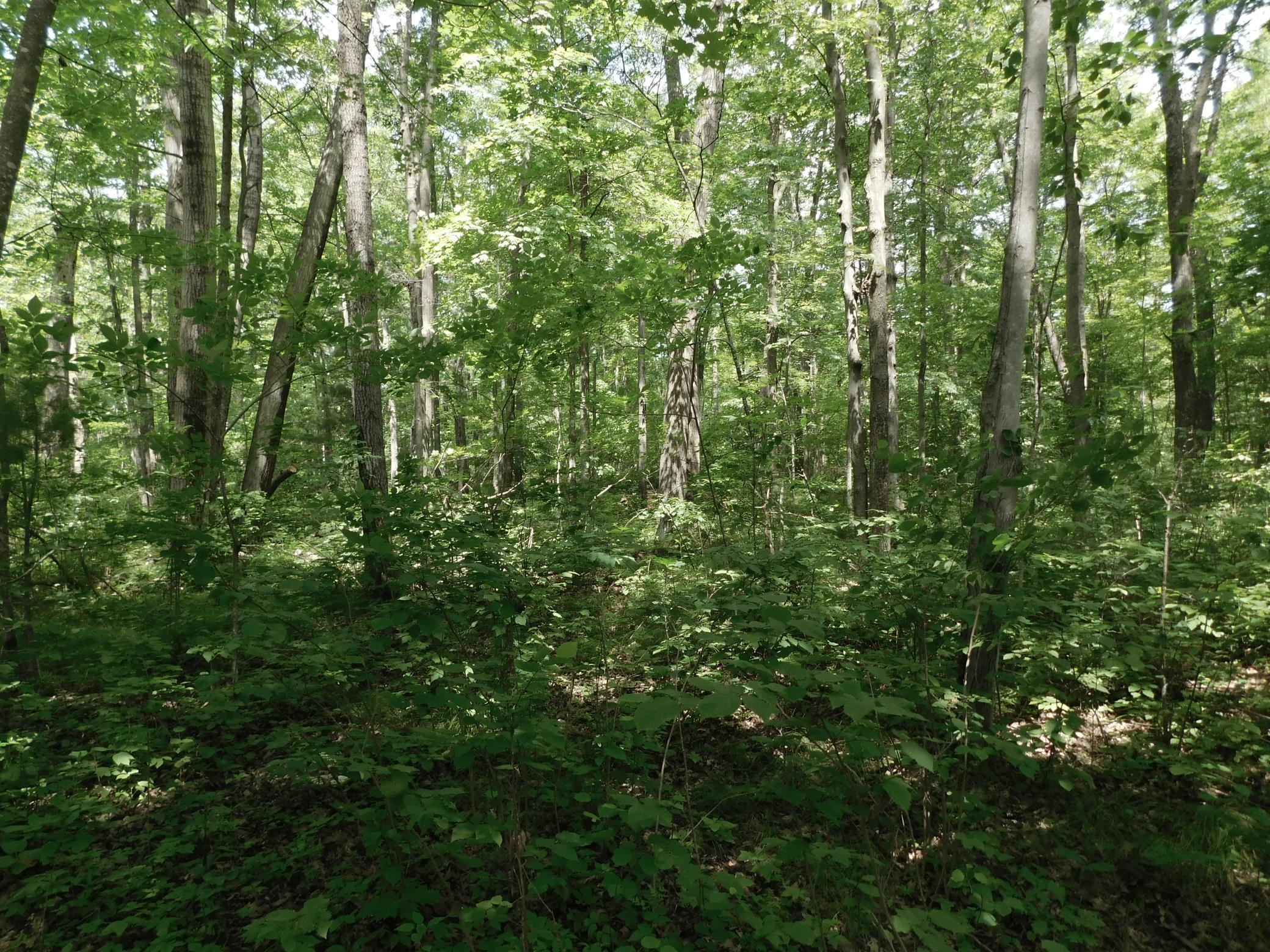 DSCN3936.JPG