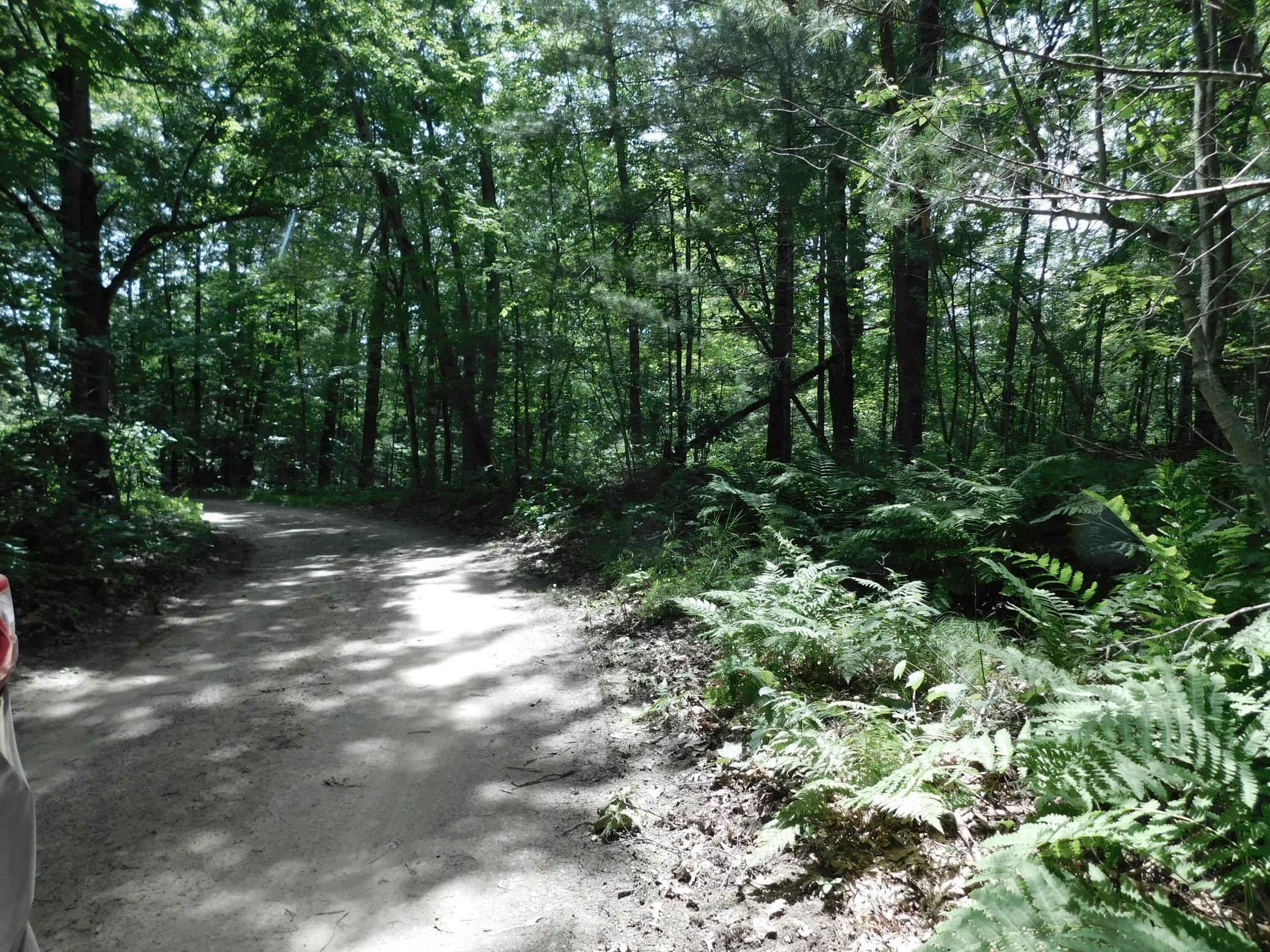 DSCN3933.JPG