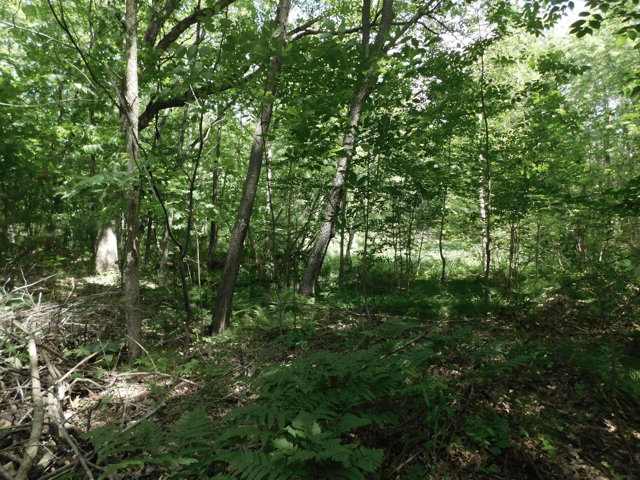 DSCN3941.JPG