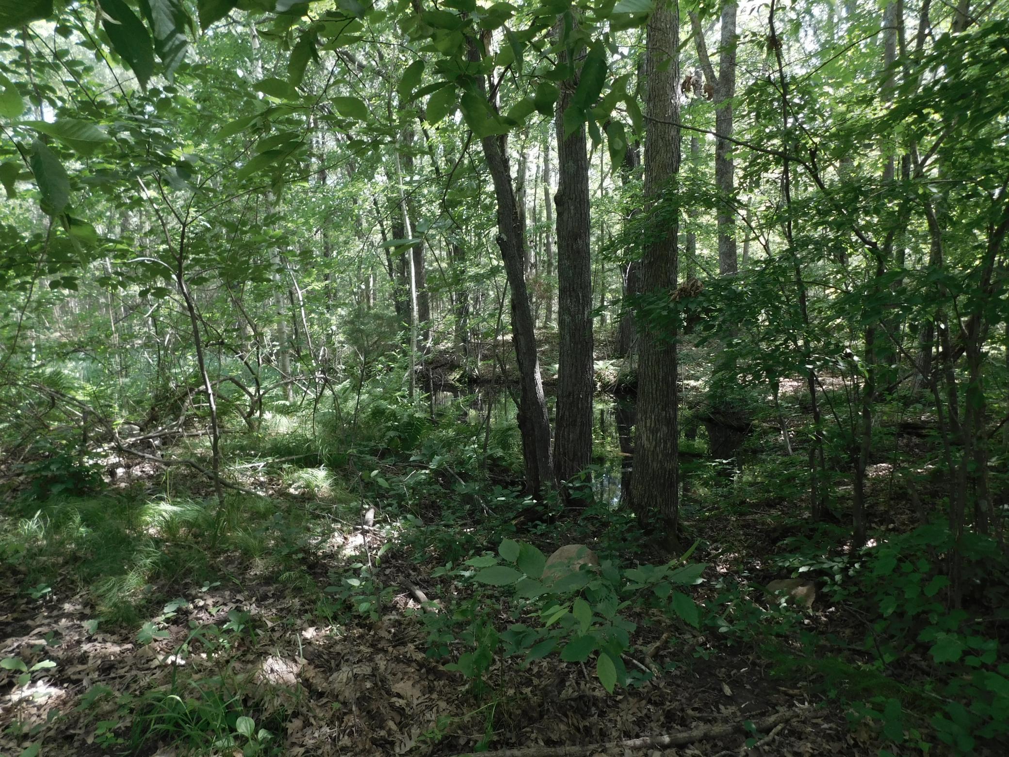 DSCN3940.JPG