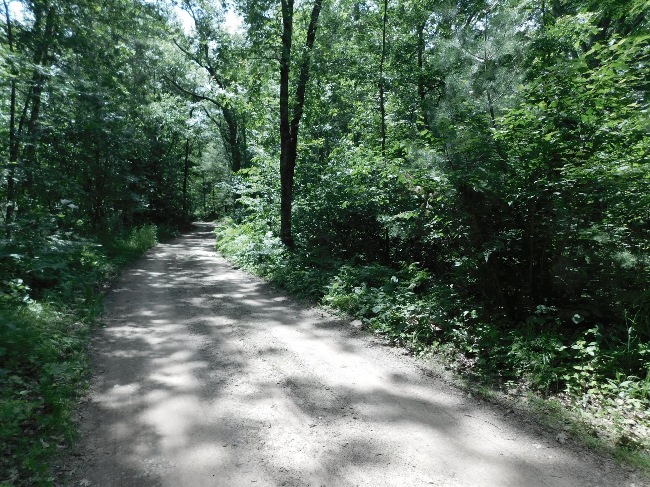 DSCN3934.JPG