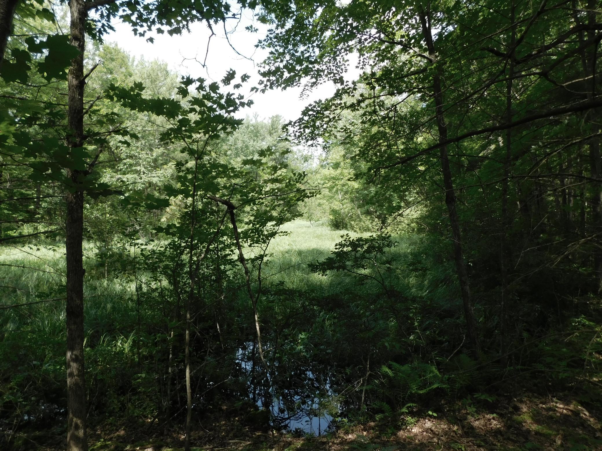 DSCN3931.JPG