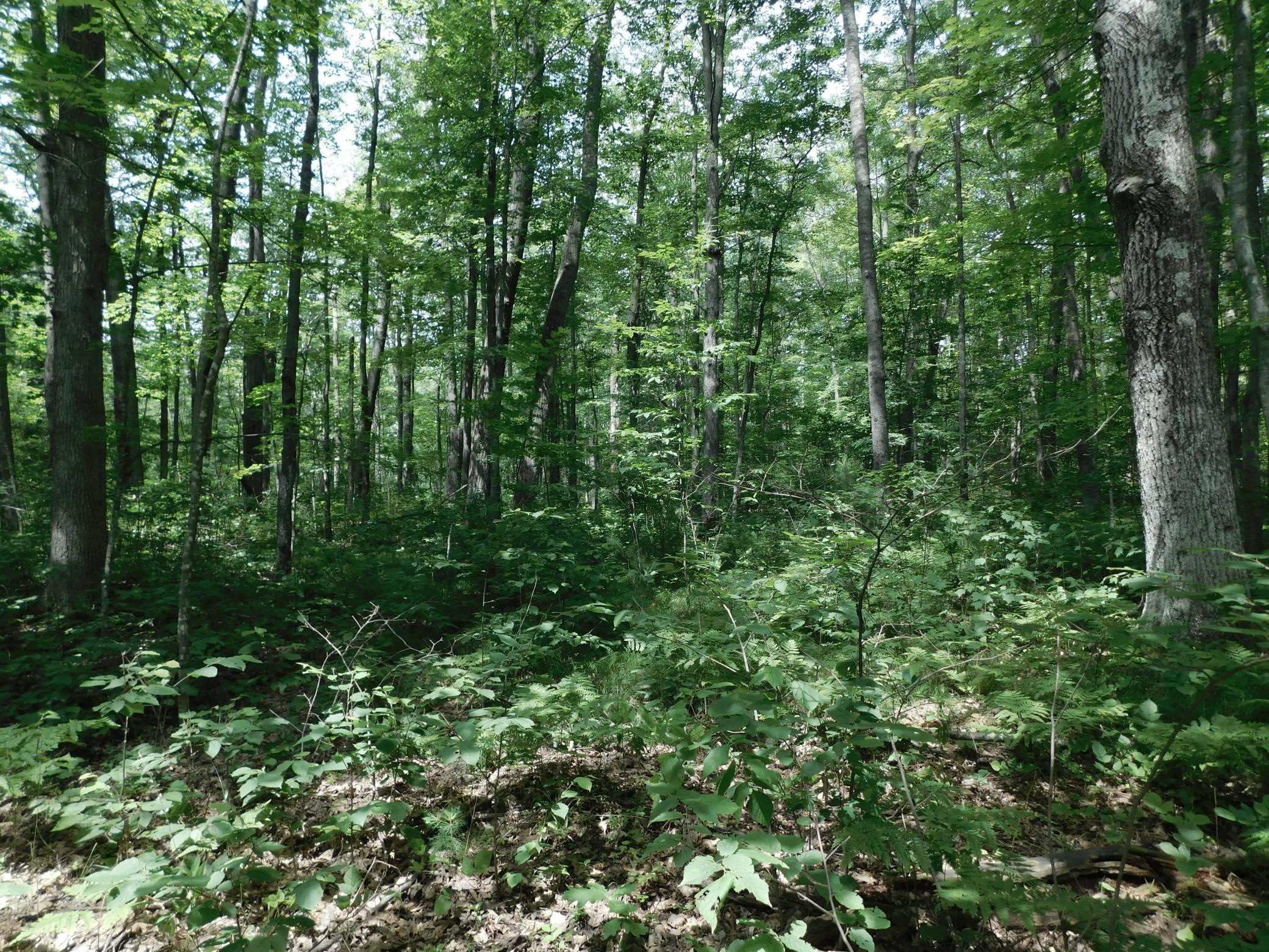 DSCN3938.JPG