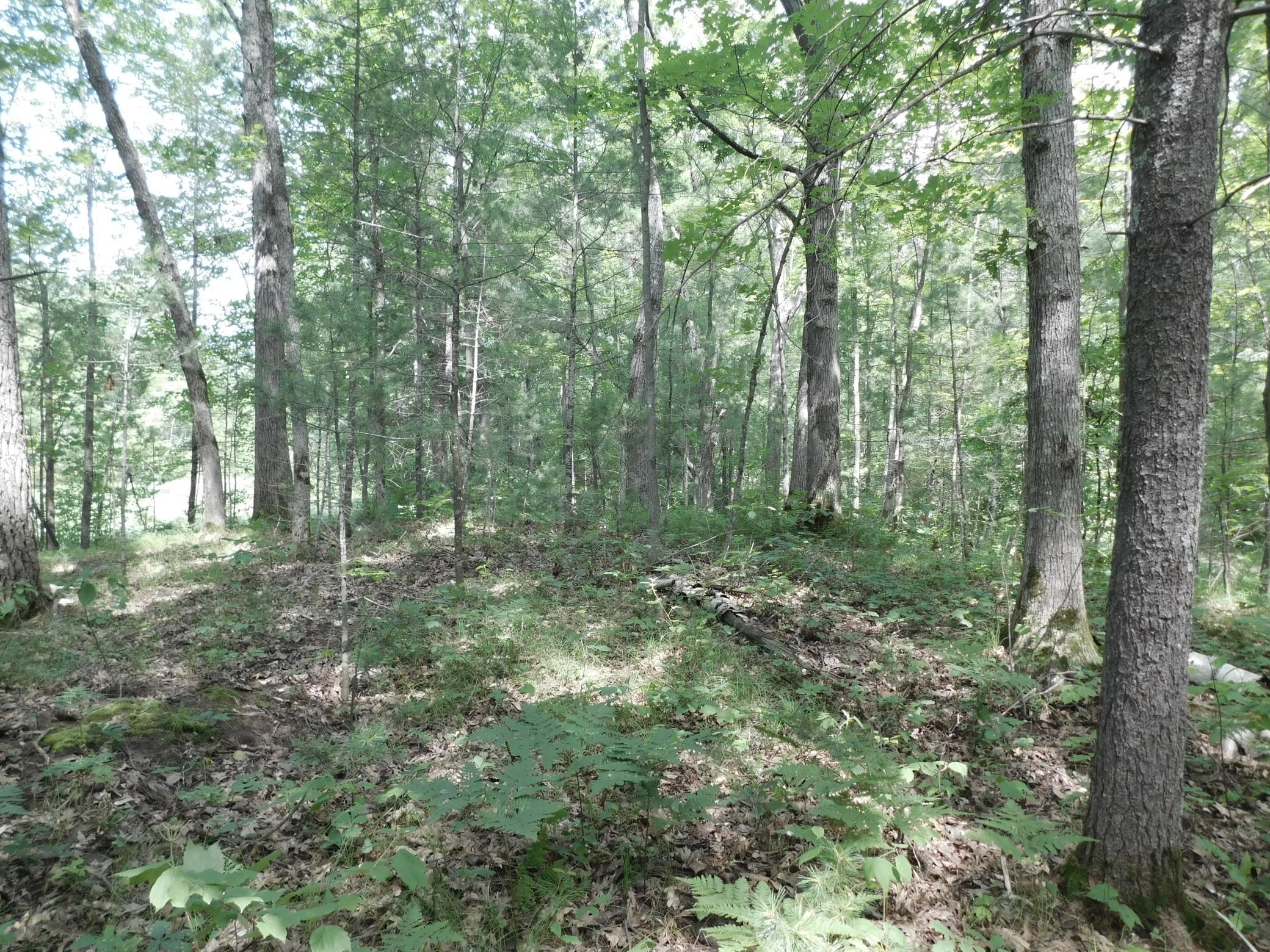 DSCN3930.JPG