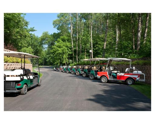 Cruise through the estate grounds in your golf cart