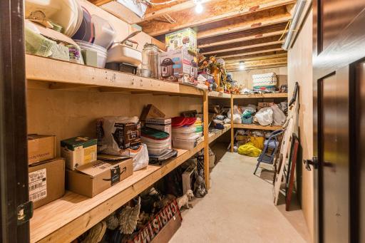 35666 Fawn Oaks Trail, Dent, MN 56528